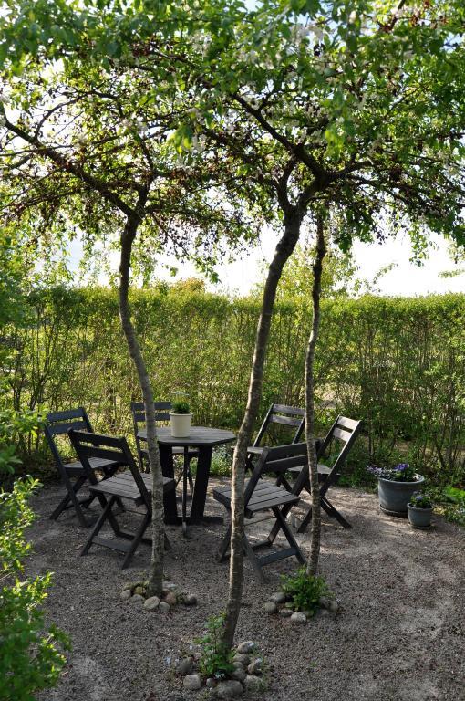 Kontakta Liselotte Abel Bed & Breakfast Vessigebro ภายนอก รูปภาพ